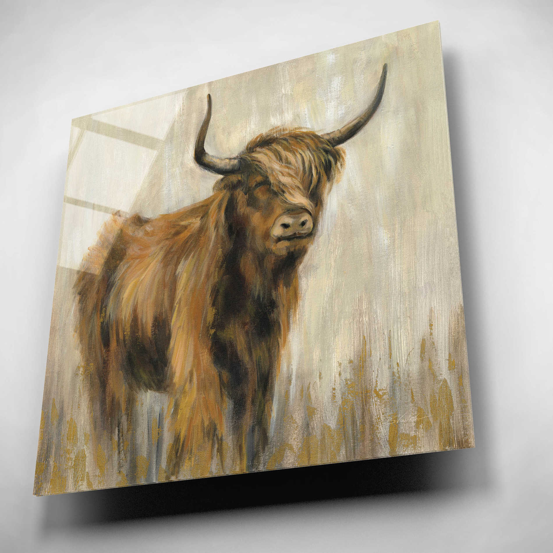 Epic Art 'Highland Mountain Cow' by Silvia Vassileva, Acrylic Glass Wall Art,12x12
