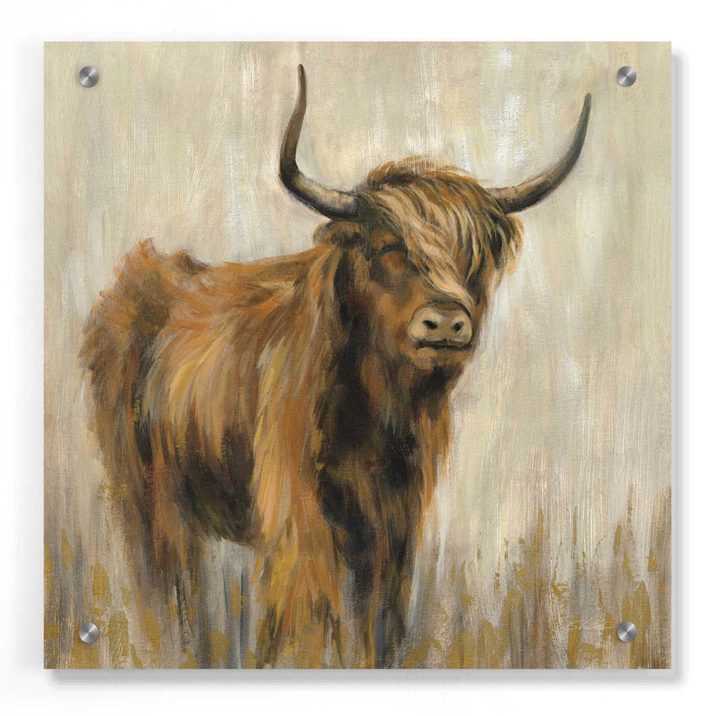 Epic Art 'Highland Mountain Cow' by Silvia Vassileva, Acrylic Glass Wall Art,36x36