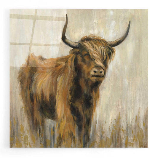 Epic Art 'Highland Mountain Cow' by Silvia Vassileva, Acrylic Glass Wall Art