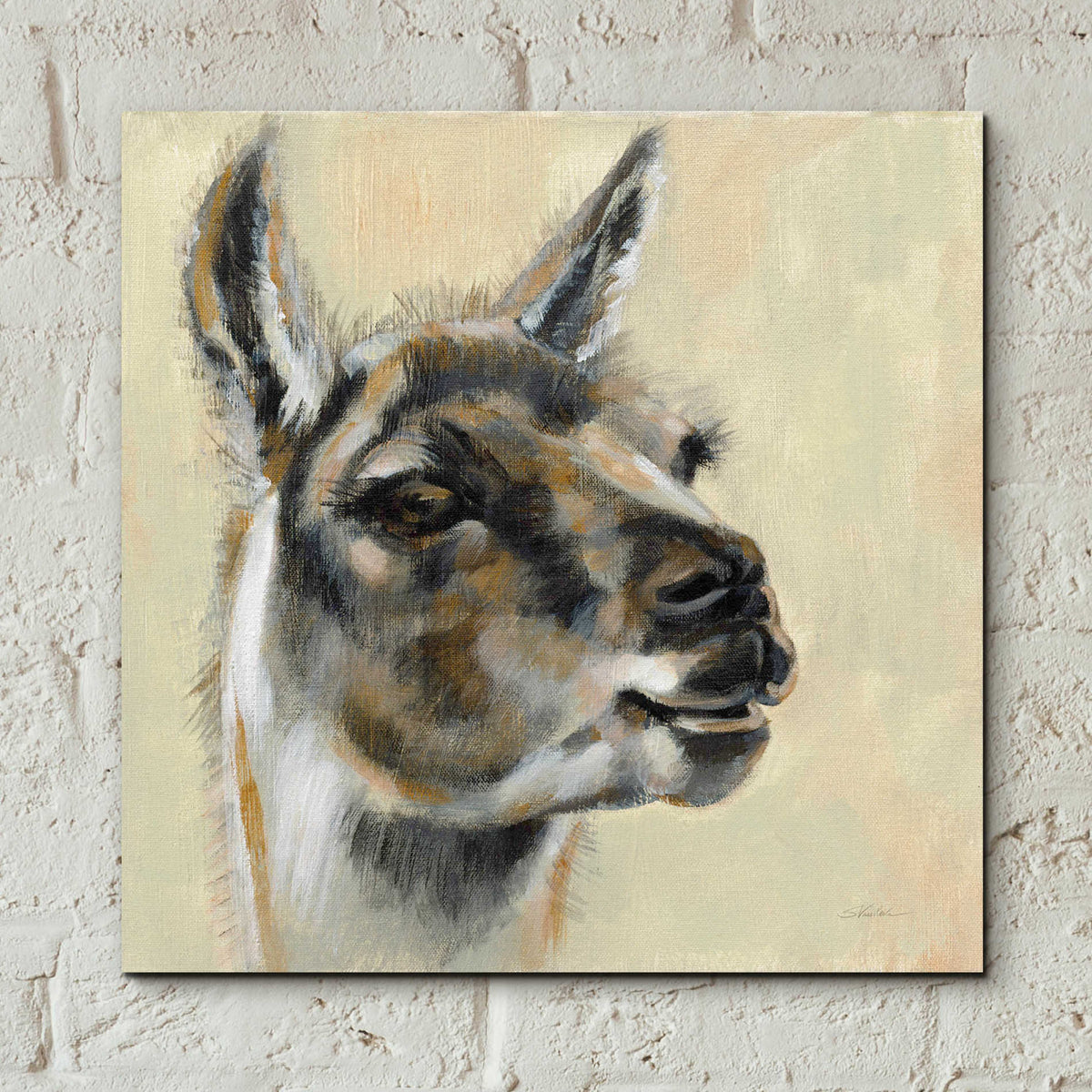 Epic Art 'Llama Portrait' by Silvia Vassileva, Acrylic Glass Wall Art,12x12