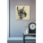 Epic Art 'Llama Portrait' by Silvia Vassileva, Acrylic Glass Wall Art,24x24