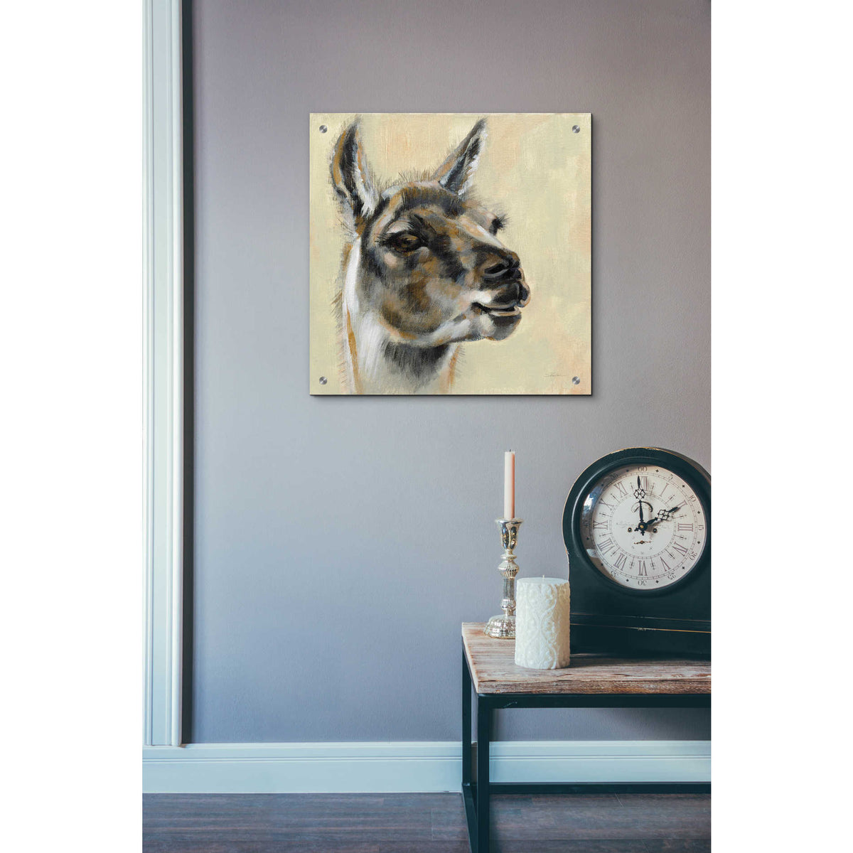 Epic Art 'Llama Portrait' by Silvia Vassileva, Acrylic Glass Wall Art,24x24