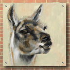 Epic Art 'Llama Portrait' by Silvia Vassileva, Acrylic Glass Wall Art,36x36