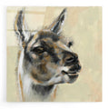 Epic Art 'Llama Portrait' by Silvia Vassileva, Acrylic Glass Wall Art
