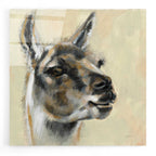 Epic Art 'Llama Portrait' by Silvia Vassileva, Acrylic Glass Wall Art
