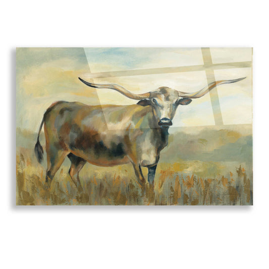 Epic Art 'Longhorn Cow' by Silvia Vassileva, Acrylic Glass Wall Art