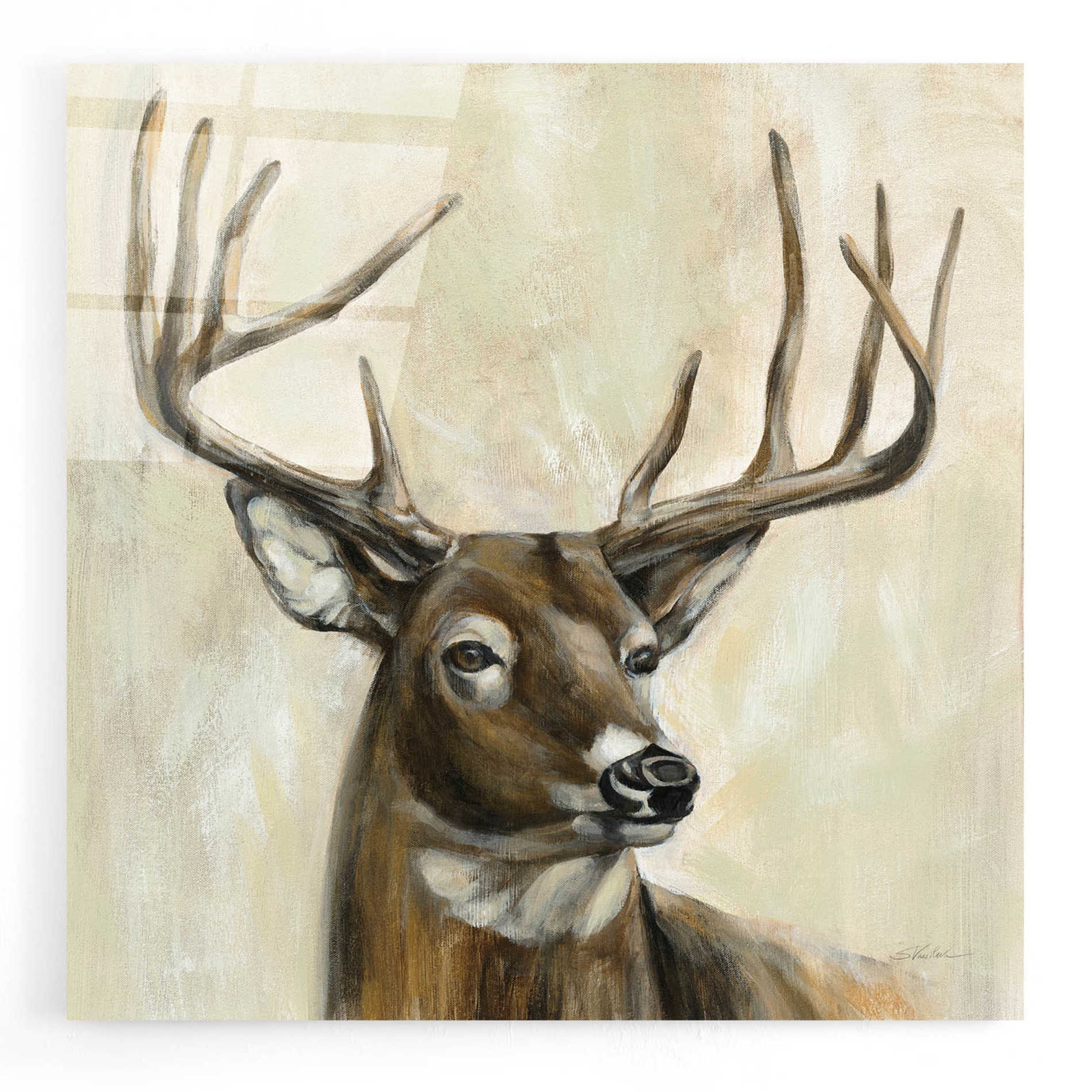 Epic Art 'Bronze Deer' by Silvia Vassileva, Acrylic Glass Wall Art
