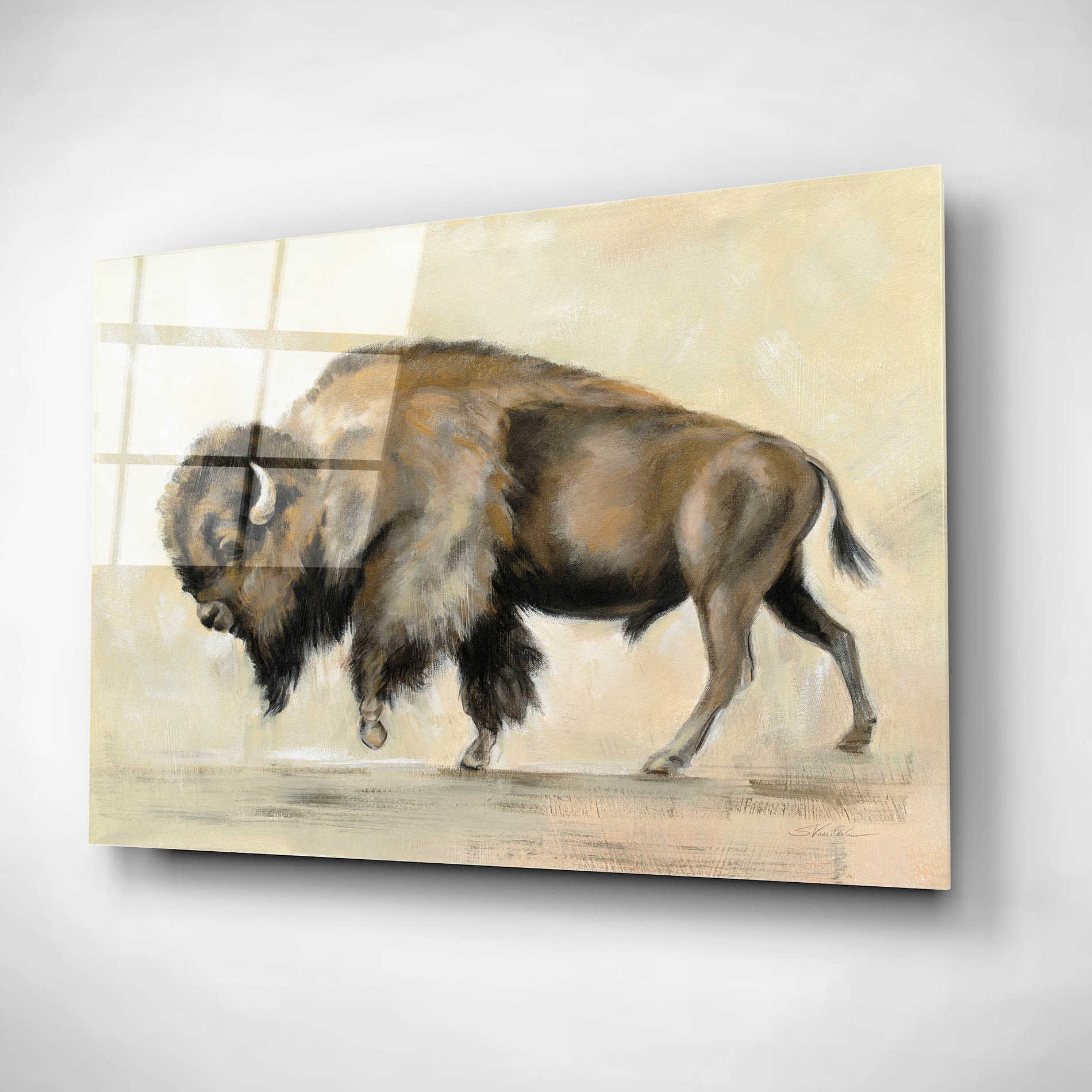 Epic Art 'Bronze Buffalo' by Silvia Vassileva, Acrylic Glass Wall Art,24x16