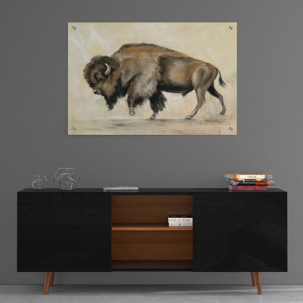 Epic Art 'Bronze Buffalo' by Silvia Vassileva, Acrylic Glass Wall Art,36x24