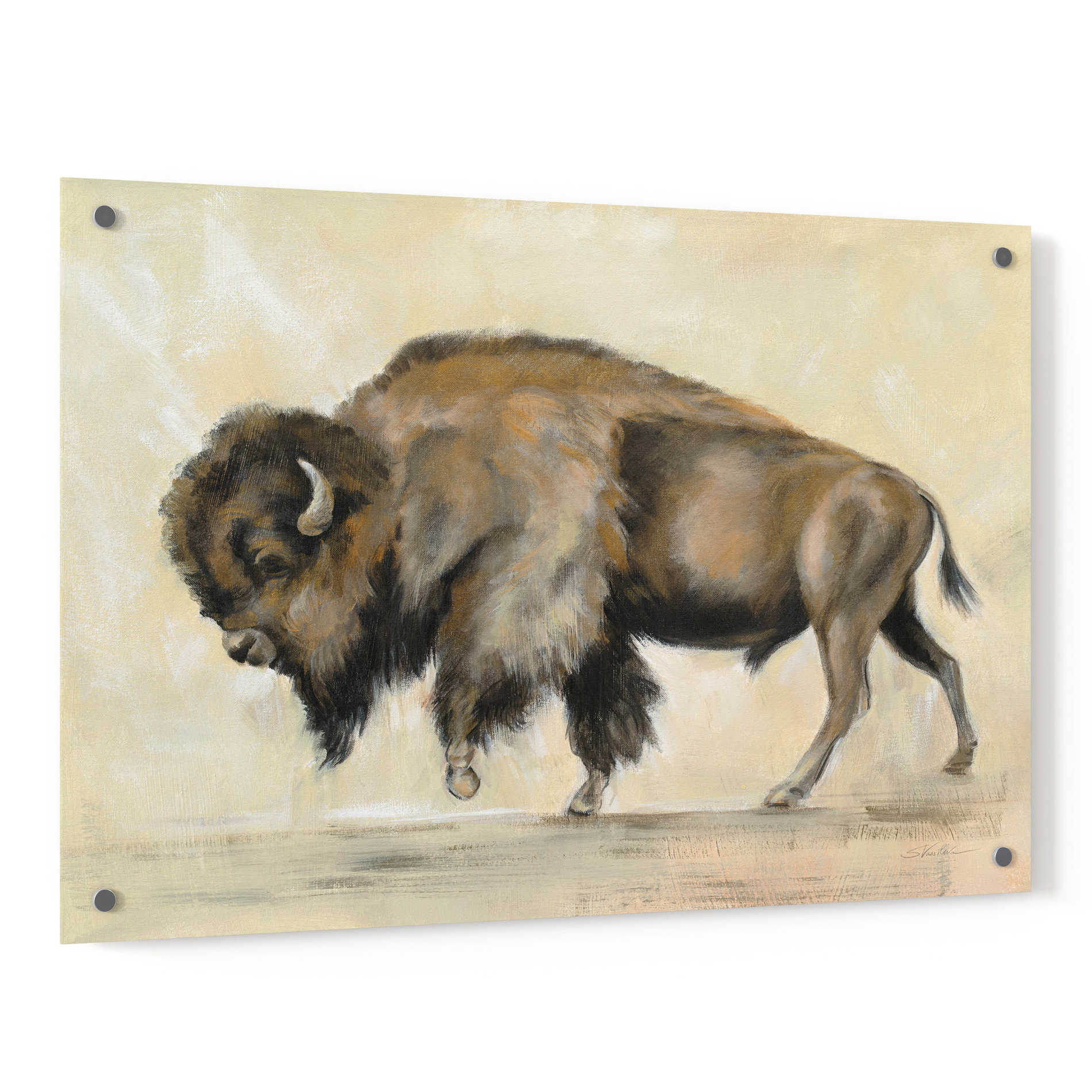 Epic Art 'Bronze Buffalo' by Silvia Vassileva, Acrylic Glass Wall Art,36x24