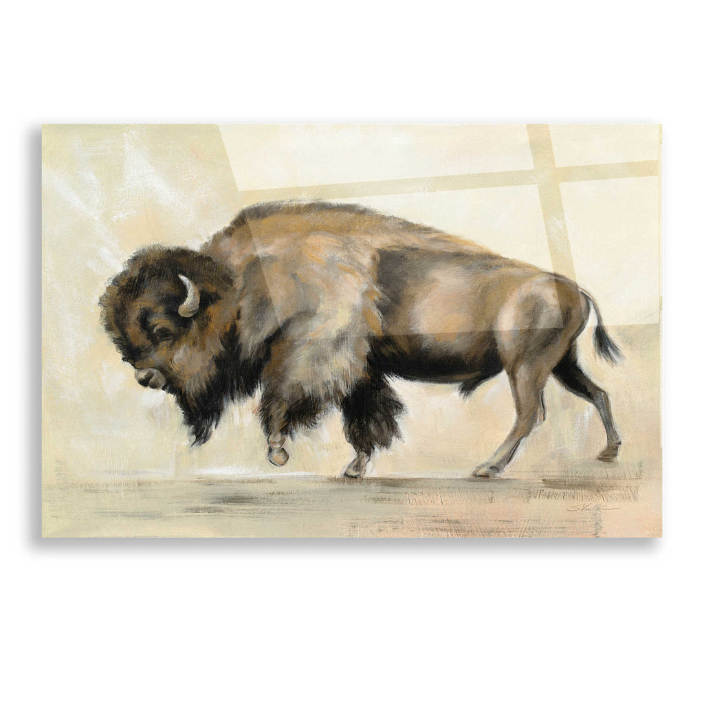 Epic Art 'Bronze Buffalo' by Silvia Vassileva, Acrylic Glass Wall Art