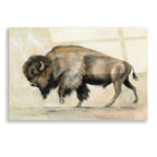 Epic Art 'Bronze Buffalo' by Silvia Vassileva, Acrylic Glass Wall Art