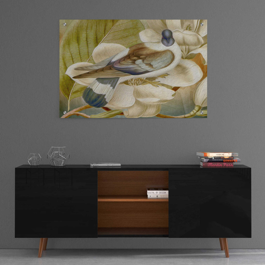 Epic Art 'Painted Plumage One' by Steve Hunziker, Acrylic Glass Wall Art,36x24