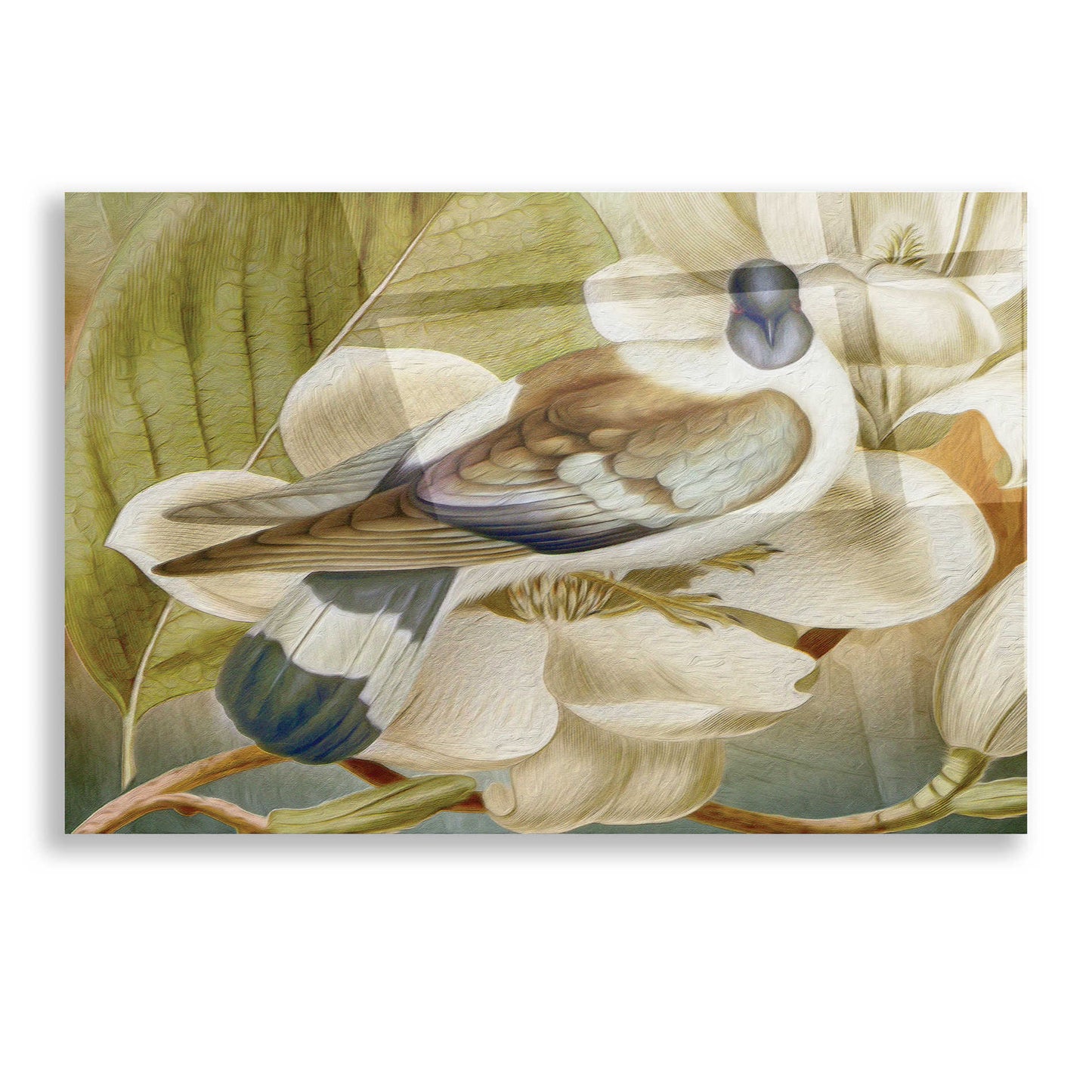 Epic Art 'Painted Plumage One' by Steve Hunziker, Acrylic Glass Wall Art