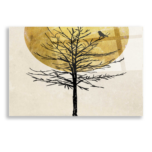 Epic Art 'Moon Tree 1' by Karen Smith, Acrylic Glass Wall Art