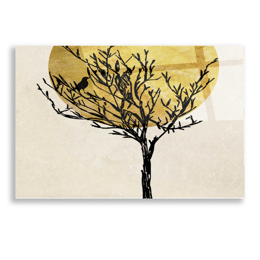 Epic Art 'Moon Tree 2' by Karen Smith, Acrylic Glass Wall Art