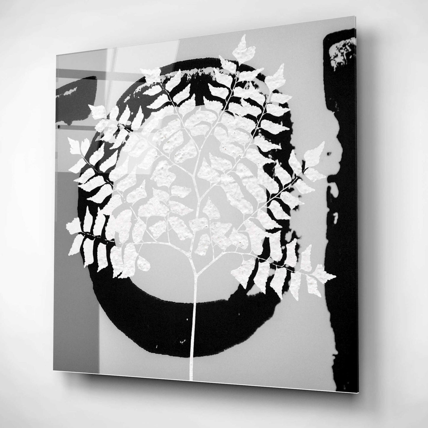 Epic Art 'Chalk Leaf 1' by Karen Smith, Acrylic Glass Wall Art,12x12