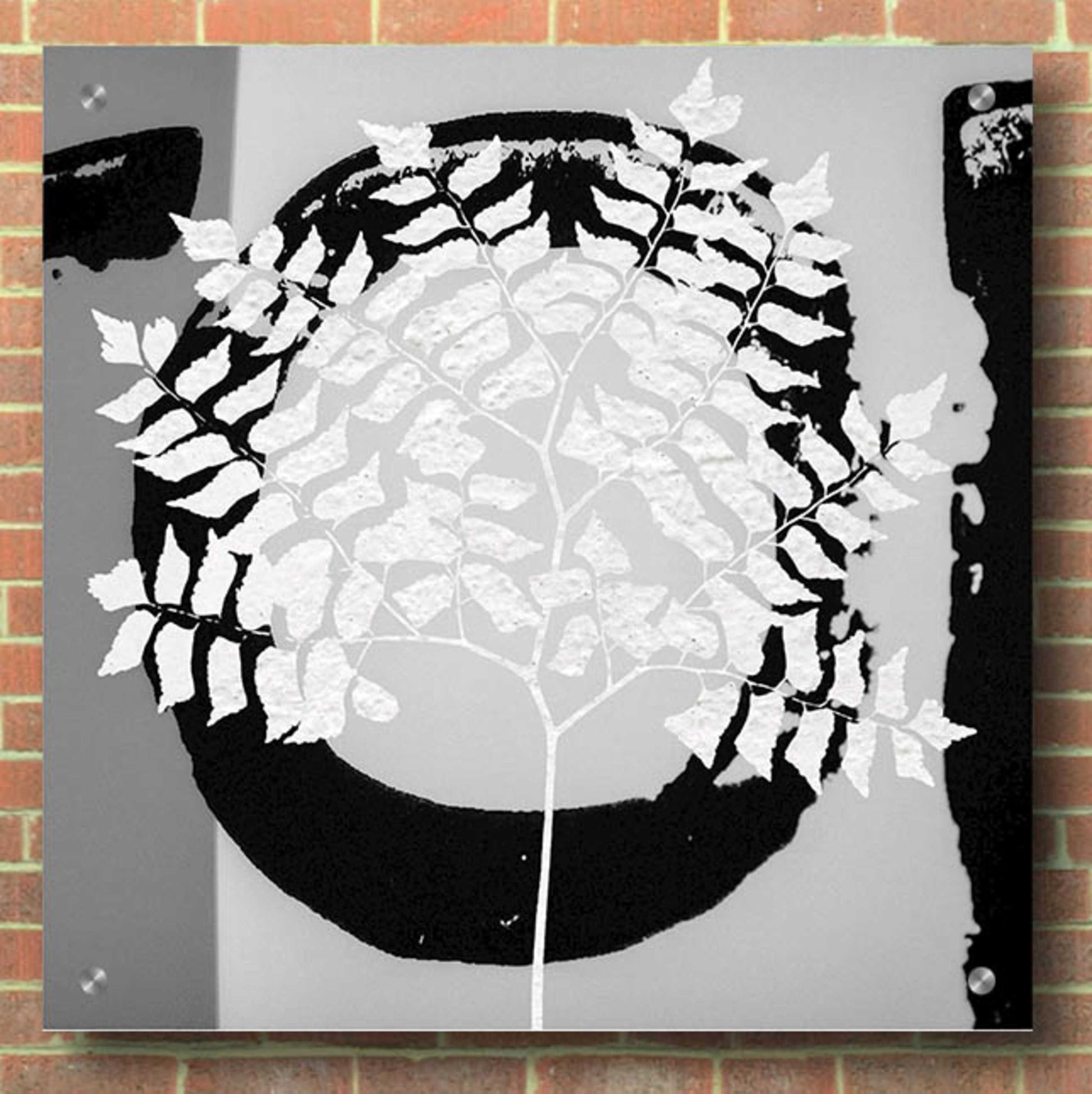 Epic Art 'Chalk Leaf 1' by Karen Smith, Acrylic Glass Wall Art,36x36