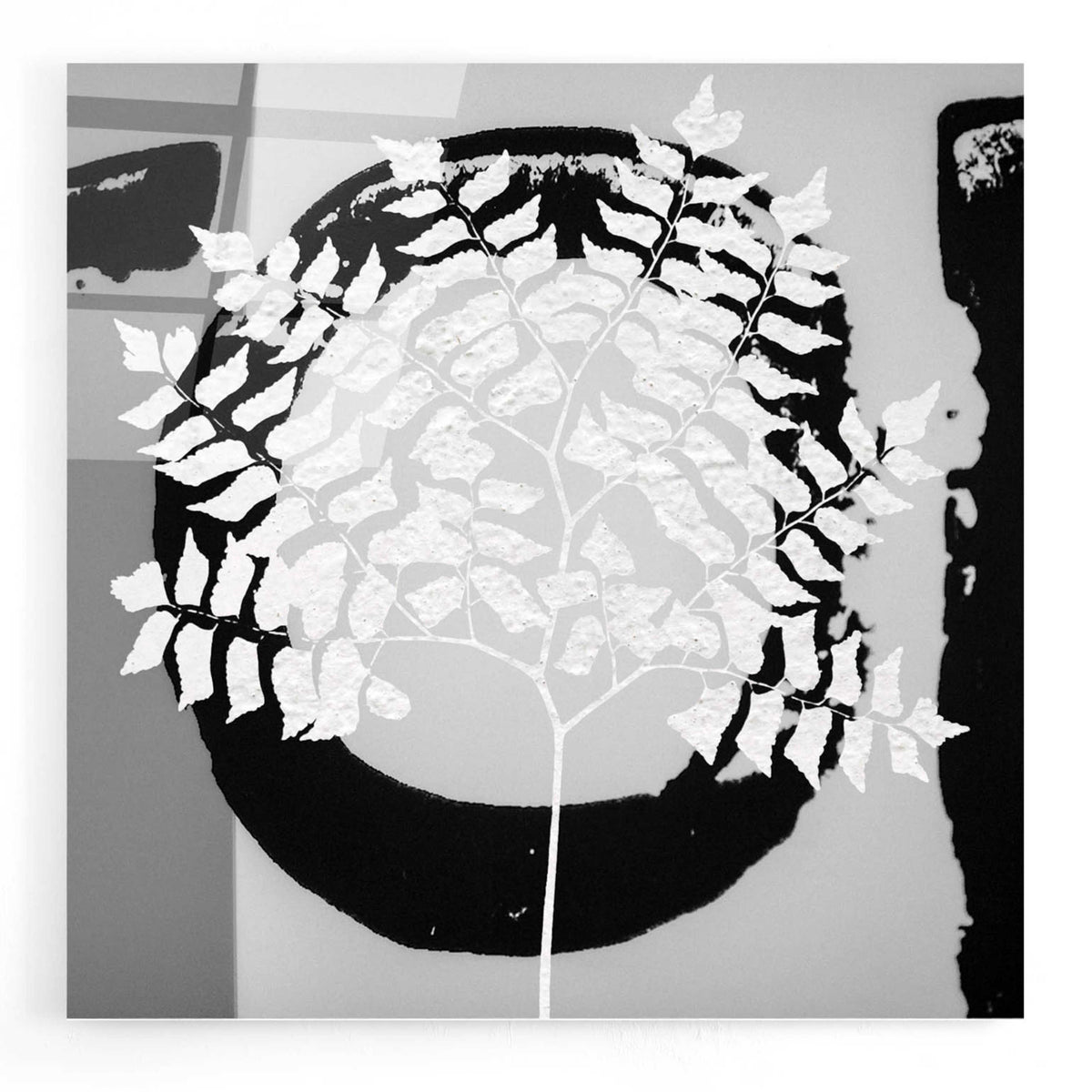 Epic Art 'Chalk Leaf 1' by Karen Smith, Acrylic Glass Wall Art