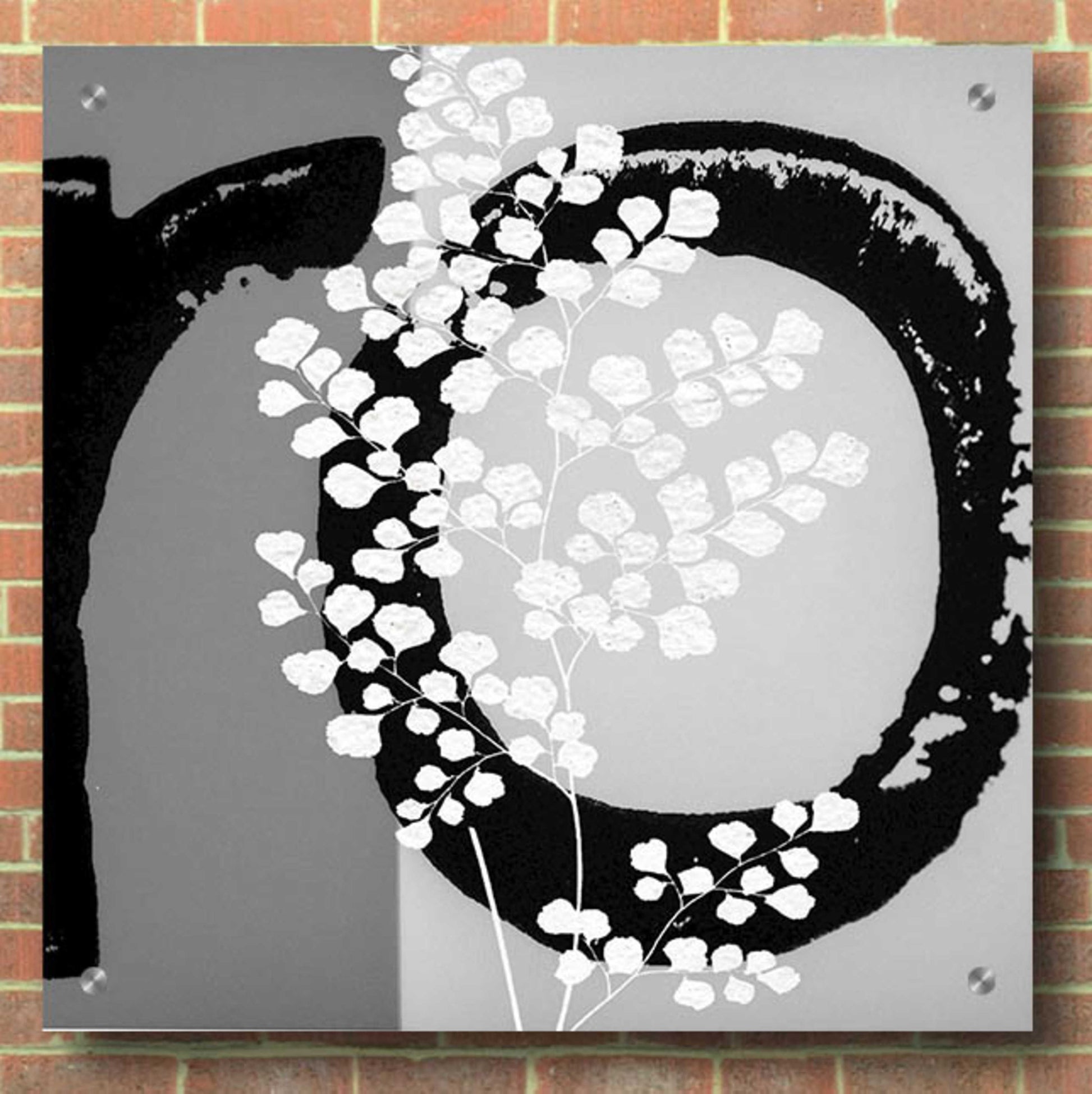Epic Art 'Chalk Leaf 2' by Karen Smith, Acrylic Glass Wall Art,36x36