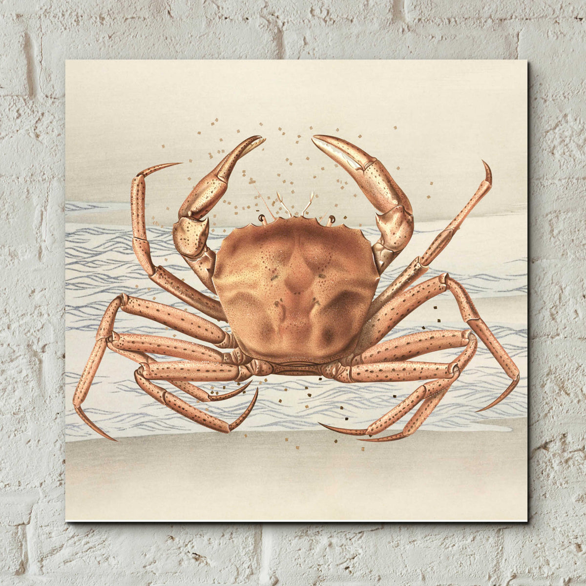 Epic Art 'Sandcritter 1' by Karen Smith, Acrylic Glass Wall Art,12x12