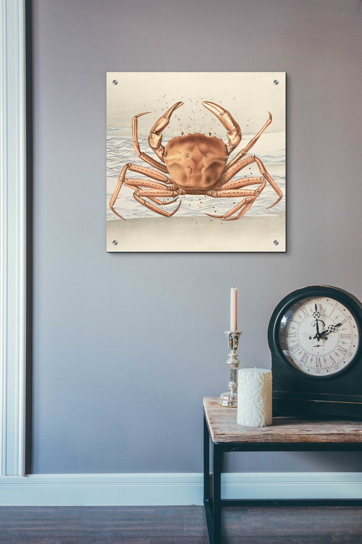 Epic Art 'Sandcritter 1' by Karen Smith, Acrylic Glass Wall Art,24x24