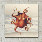Epic Art 'Sandcritter 2' by Karen Smith, Acrylic Glass Wall Art,12x12