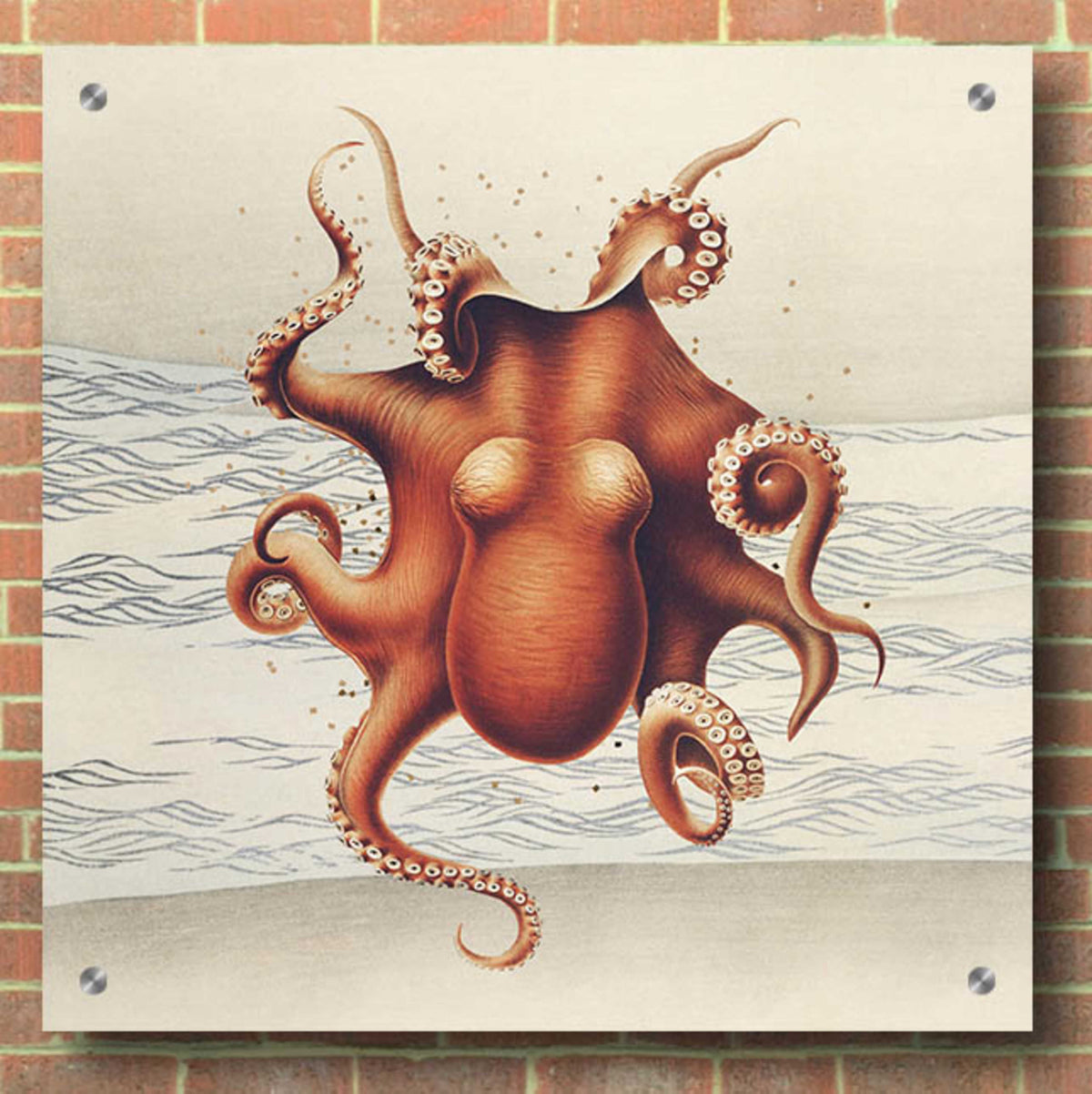 Epic Art 'Sandcritter 2' by Karen Smith, Acrylic Glass Wall Art,36x36