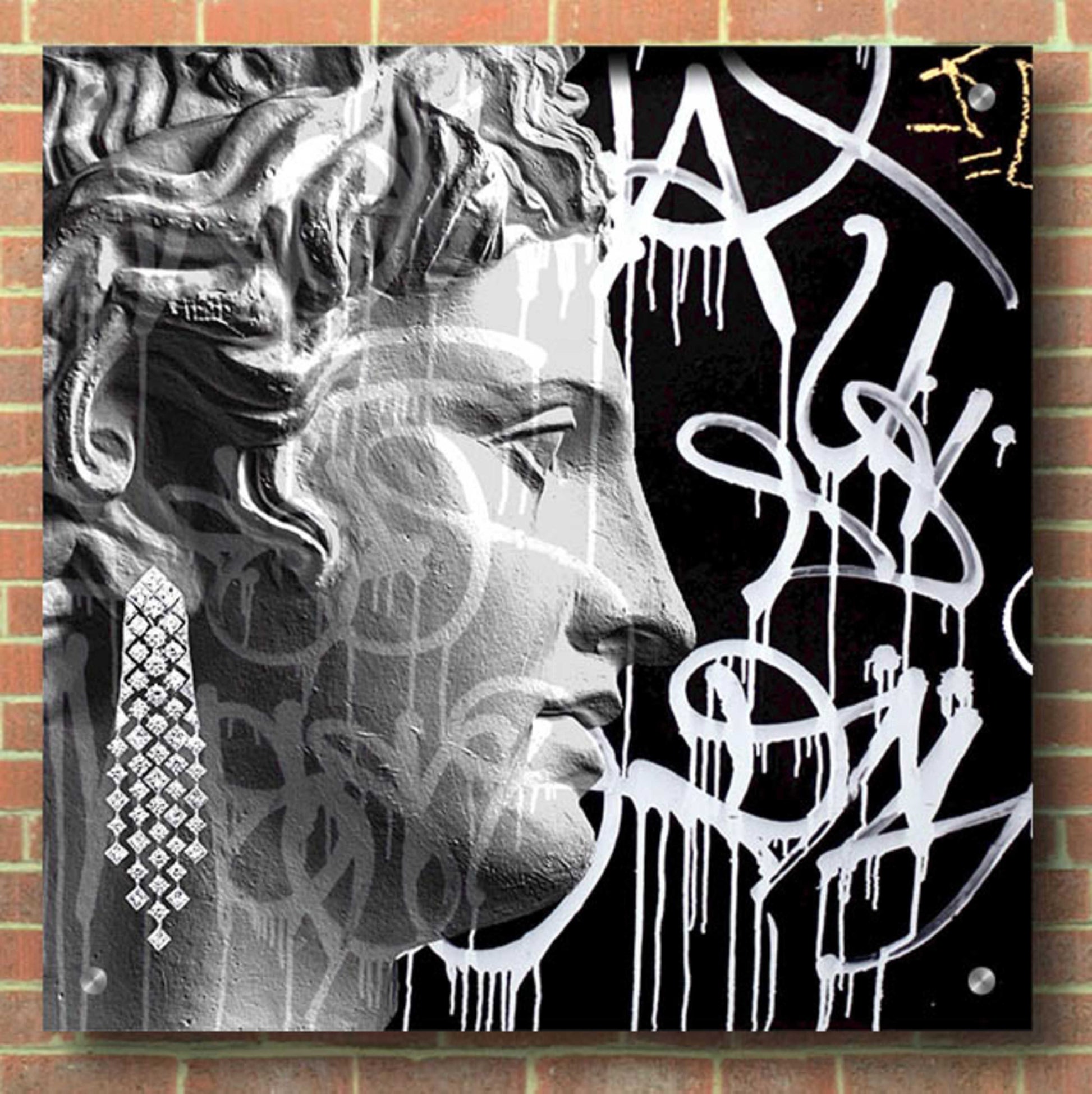 Epic Art 'Graffiti Bust 2' by Karen Smith, Acrylic Glass Wall Art,36x36