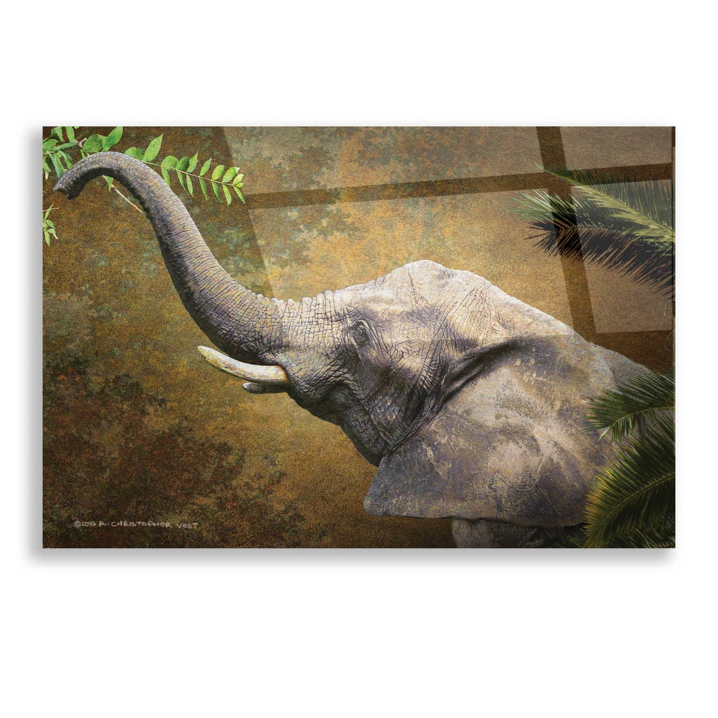 Epic Art 'Forest Elephant' by Chris Vest, Acrylic Glass Wall Art,16x12