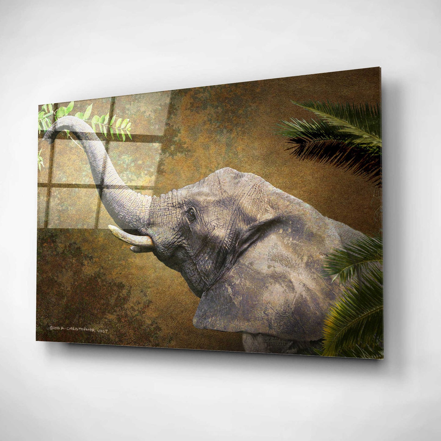 Epic Art 'Forest Elephant' by Chris Vest, Acrylic Glass Wall Art,24x16