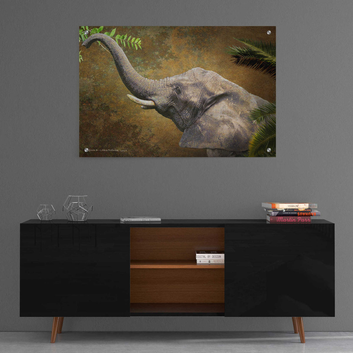 Epic Art 'Forest Elephant' by Chris Vest, Acrylic Glass Wall Art,36x24