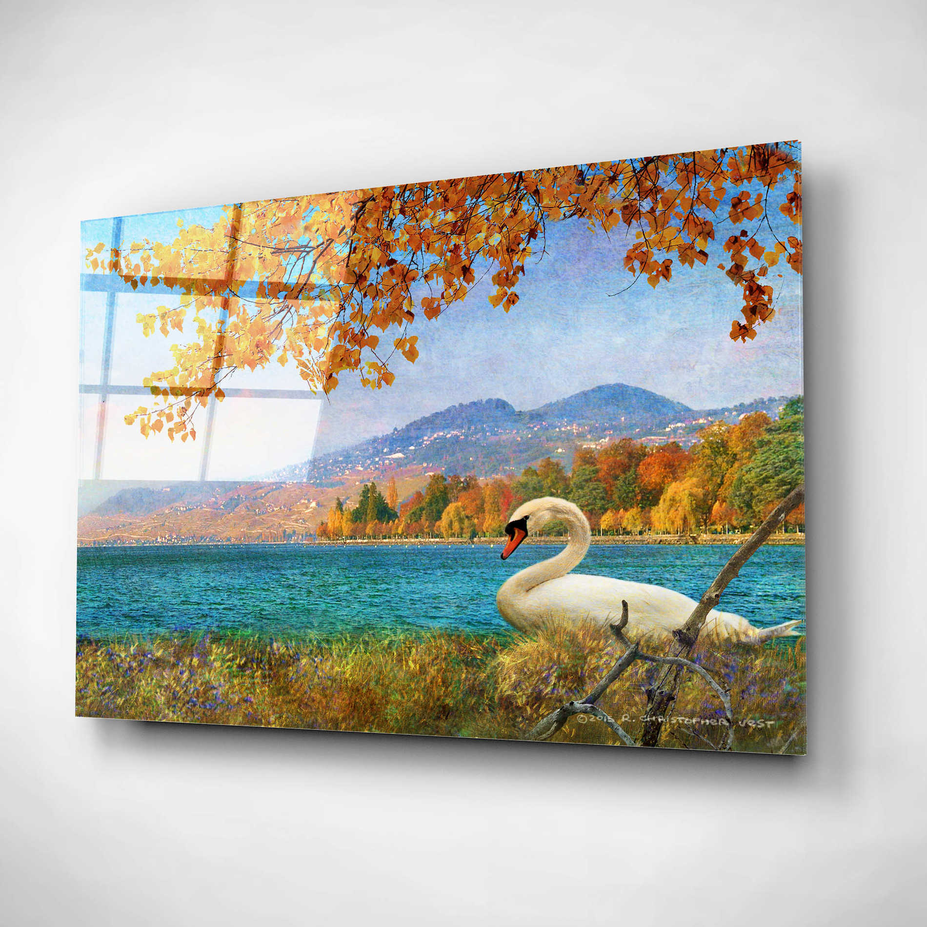 Epic Art 'Swan by Lac Leman' by Chris Vest, Acrylic Glass Wall Art,24x16