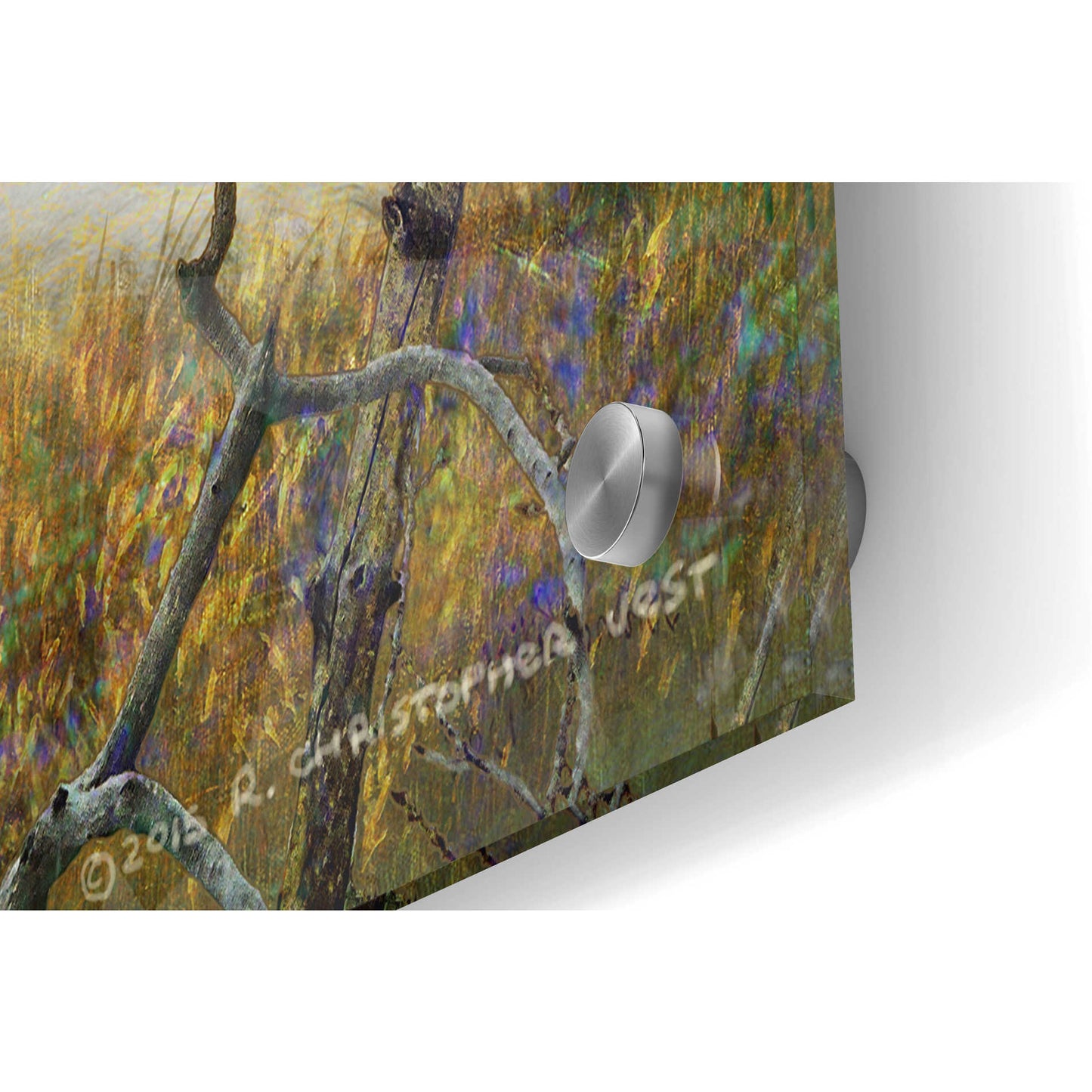 Epic Art 'Swan by Lac Leman' by Chris Vest, Acrylic Glass Wall Art,36x24