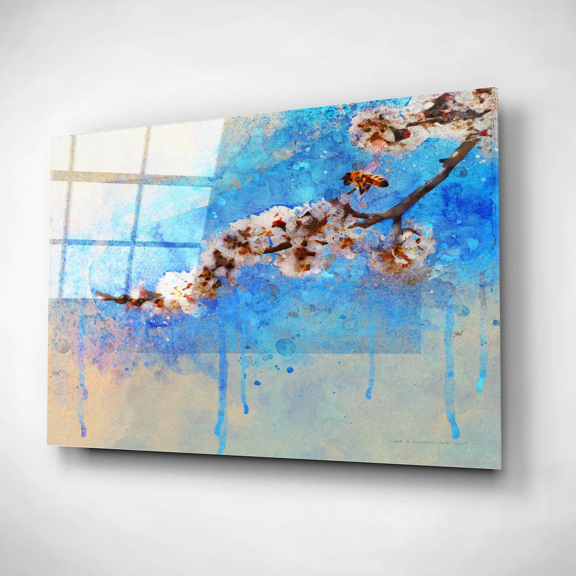 Epic Art 'Apricot Blossom' by Chris Vest, Acrylic Glass Wall Art,16x12