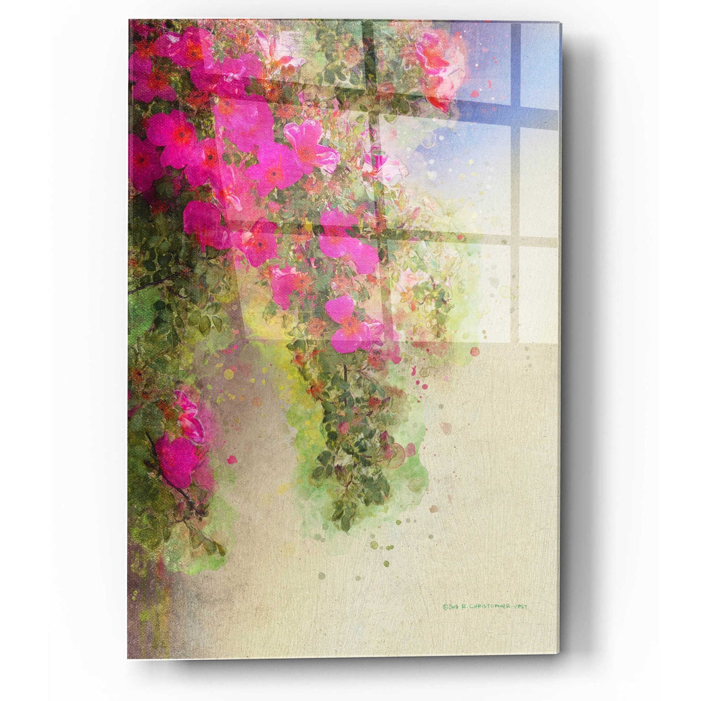 Epic Art 'Cascade of Roses' by Chris Vest, Acrylic Glass Wall Art,12x16