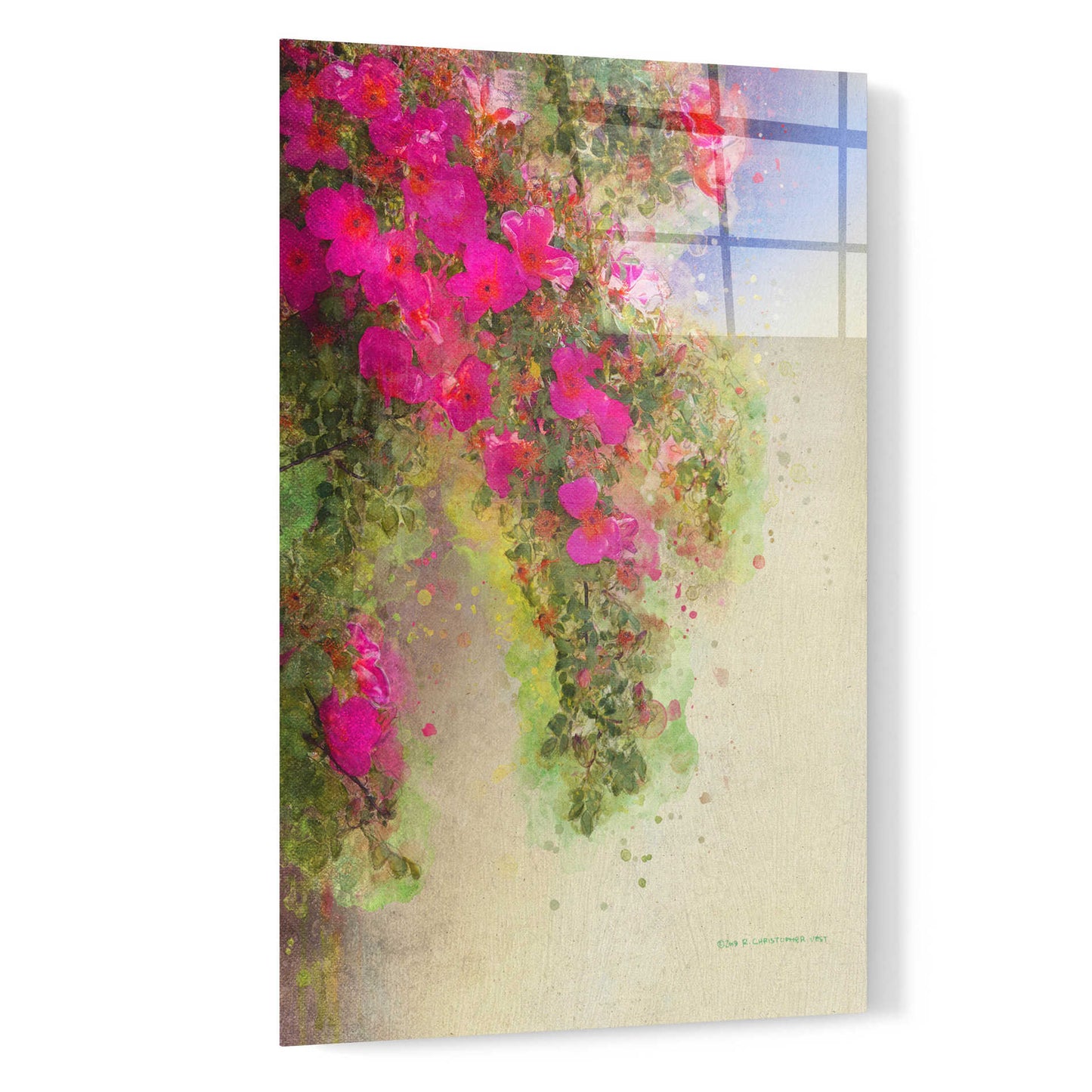 Epic Art 'Cascade of Roses' by Chris Vest, Acrylic Glass Wall Art,16x24