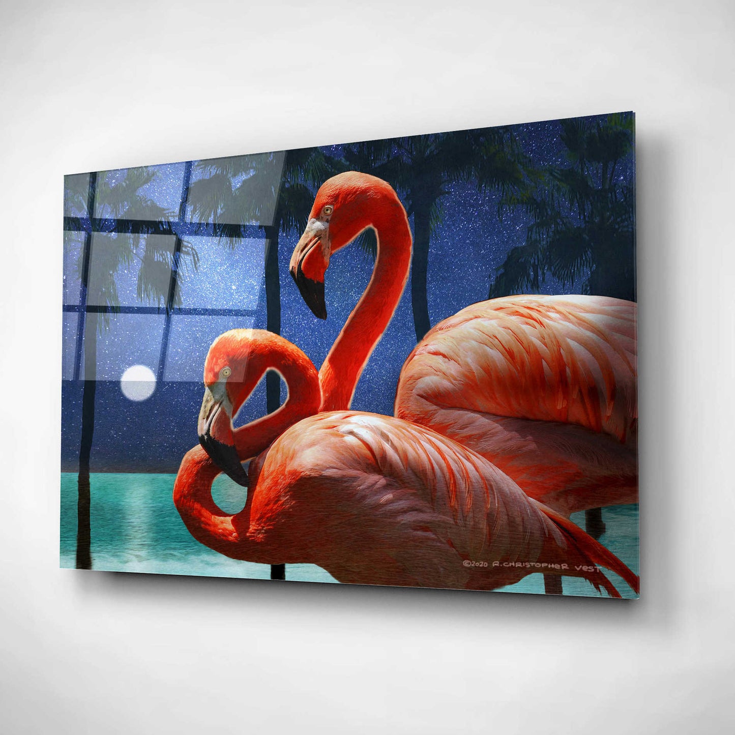 Epic Art 'Moonlight Flamingos' by Chris Vest, Acrylic Glass Wall Art,16x12