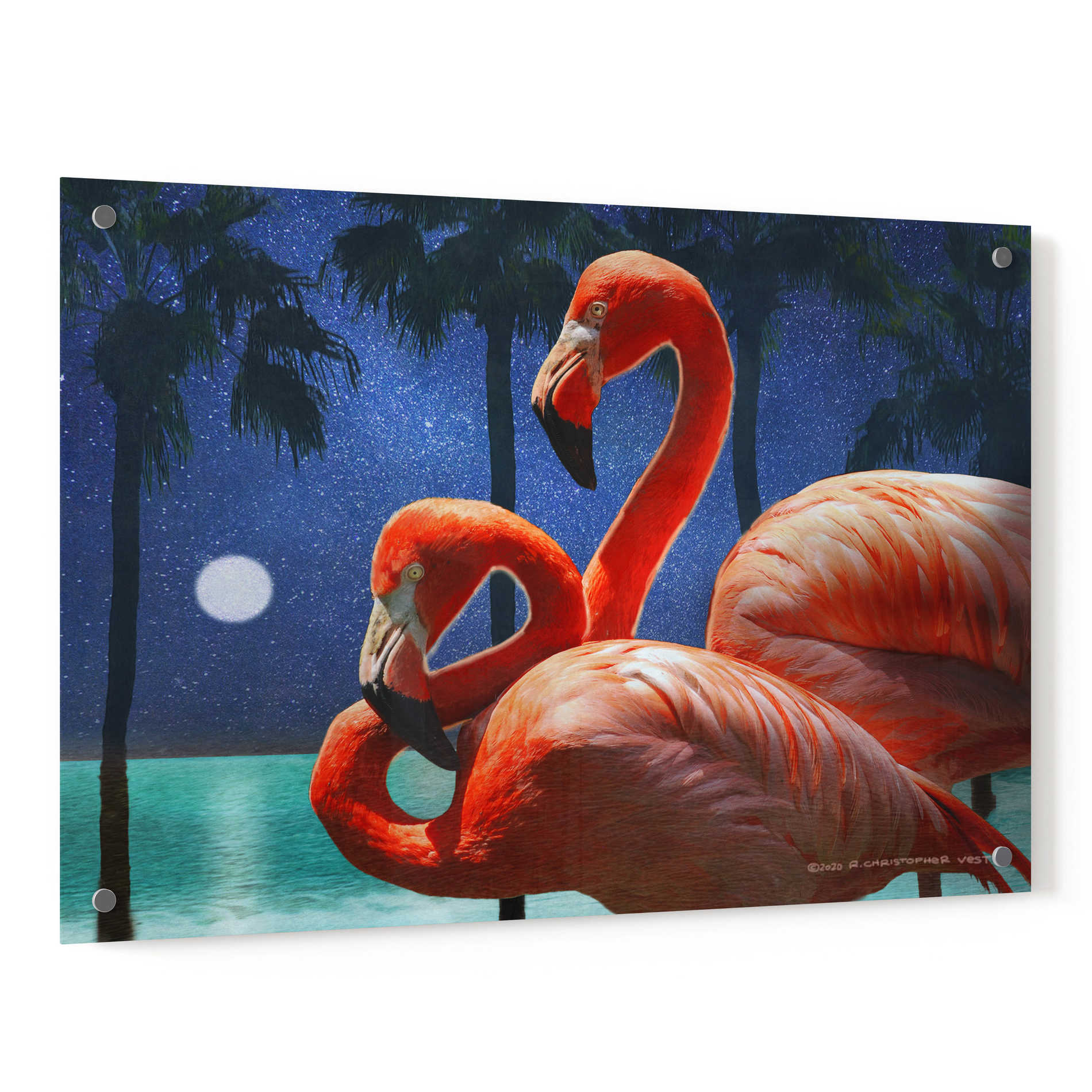 Epic Art 'Moonlight Flamingos' by Chris Vest, Acrylic Glass Wall Art,36x24