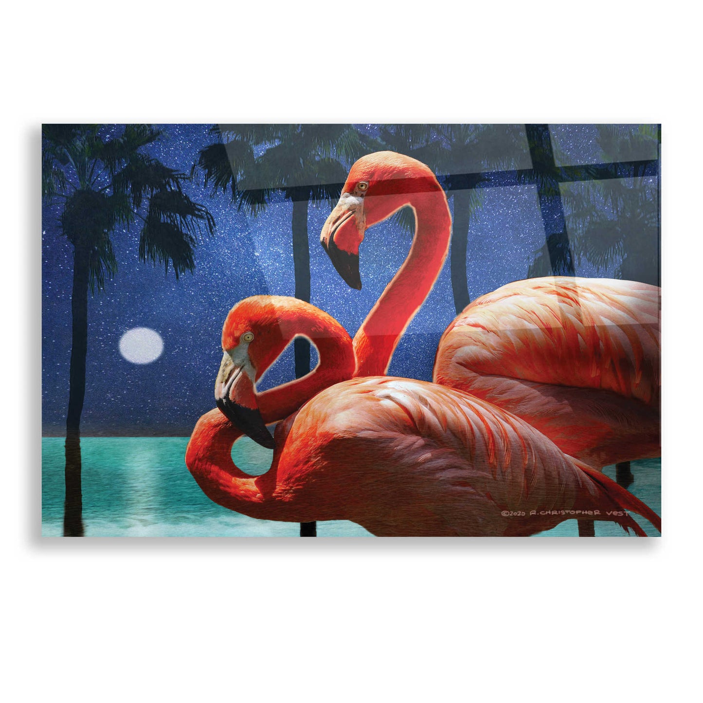 Epic Art 'Moonlight Flamingos' by Chris Vest, Acrylic Glass Wall Art