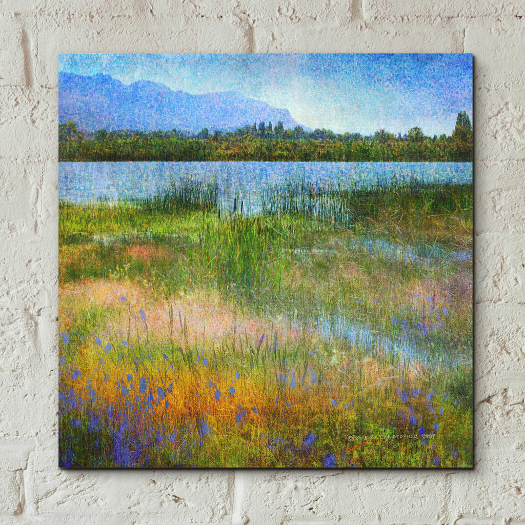Epic Art 'Lake Near Mesa Verde' by Chris Vest, Acrylic Glass Wall Art,12x12
