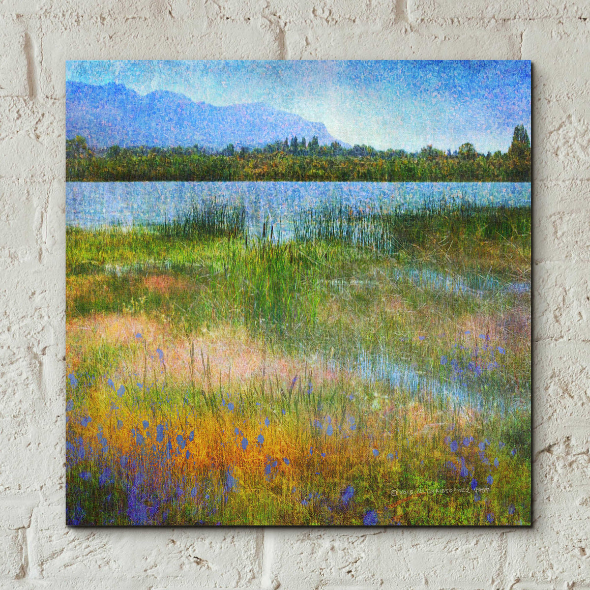Epic Art 'Lake Near Mesa Verde' by Chris Vest, Acrylic Glass Wall Art,12x12