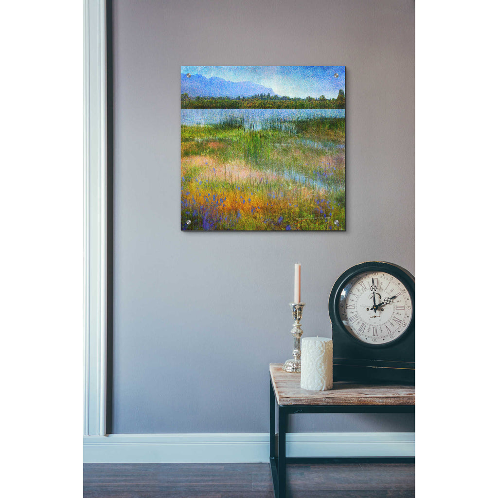 Epic Art 'Lake Near Mesa Verde' by Chris Vest, Acrylic Glass Wall Art,24x24
