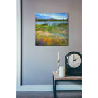 Epic Art 'Lake Near Mesa Verde' by Chris Vest, Acrylic Glass Wall Art,24x24