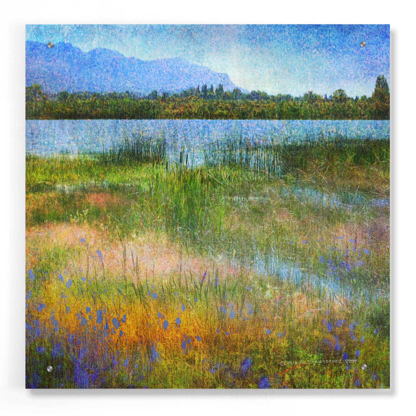 Epic Art 'Lake Near Mesa Verde' by Chris Vest, Acrylic Glass Wall Art,24x24