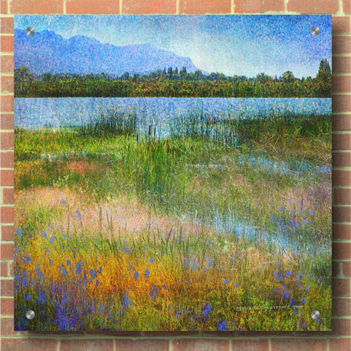 Epic Art 'Lake Near Mesa Verde' by Chris Vest, Acrylic Glass Wall Art,36x36