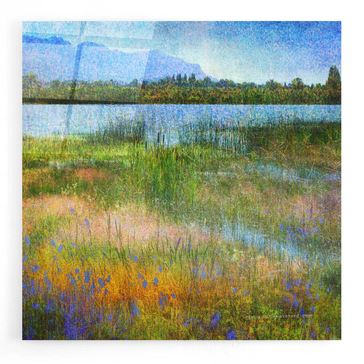 Epic Art 'Lake Near Mesa Verde' by Chris Vest, Acrylic Glass Wall Art