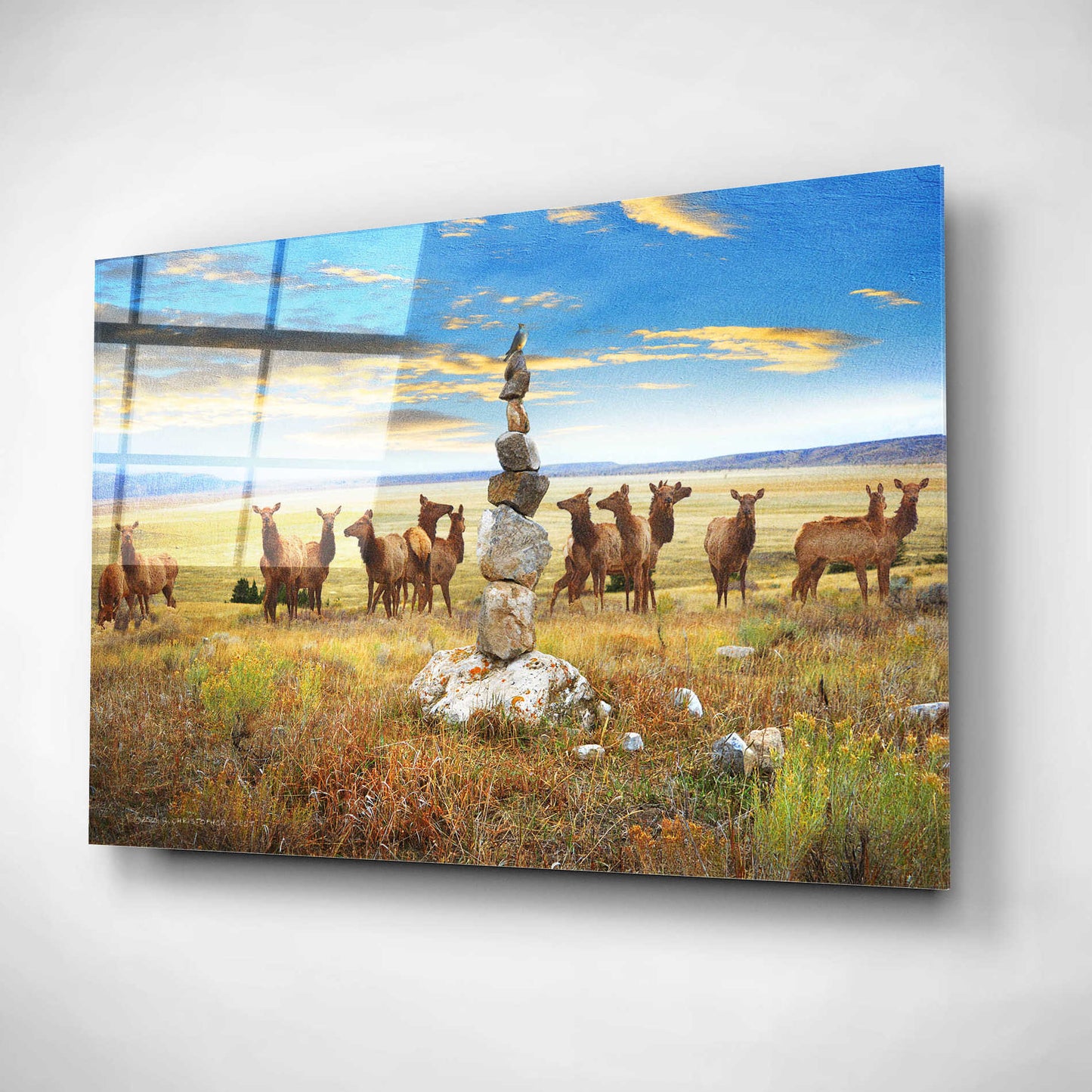 Epic Art 'Cairn Above Elk Refuge' by Chris Vest, Acrylic Glass Wall Art,16x12