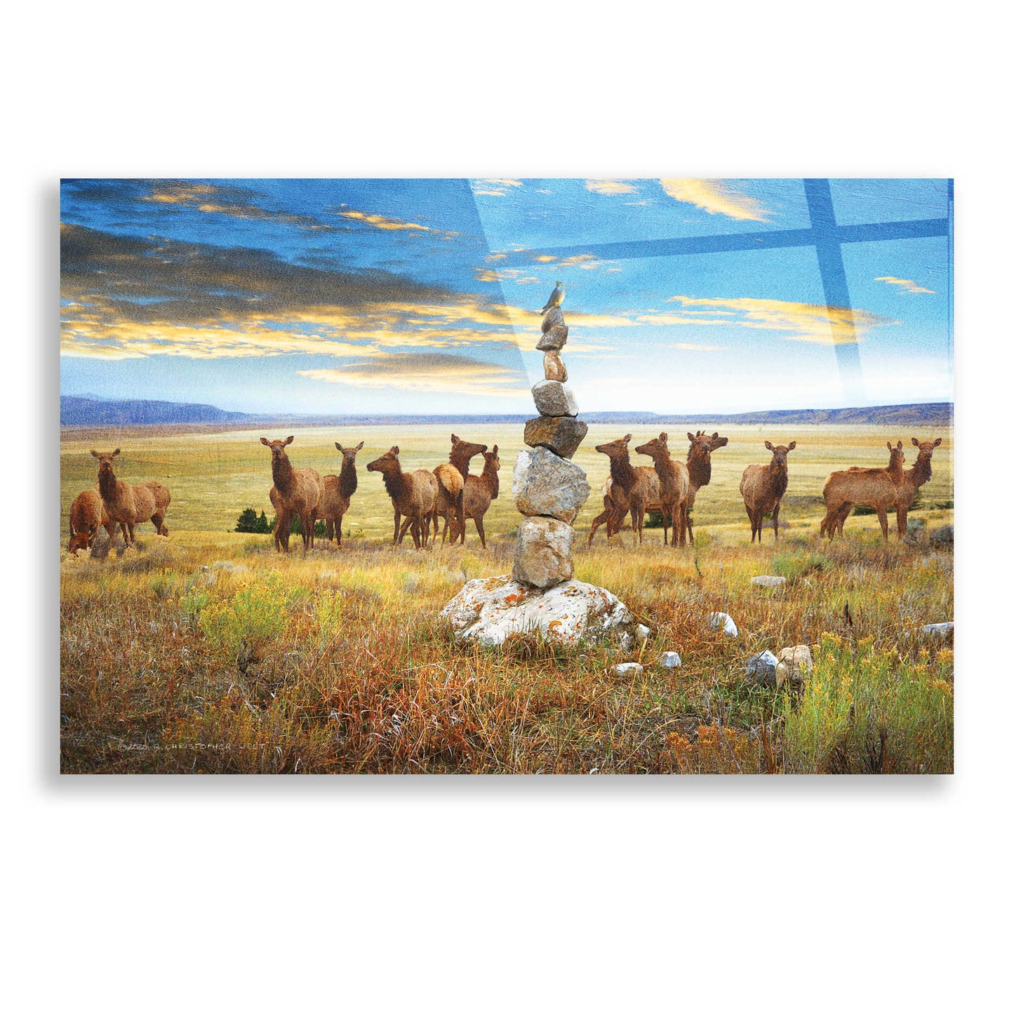 Epic Art 'Cairn Above Elk Refuge' by Chris Vest, Acrylic Glass Wall Art,24x16