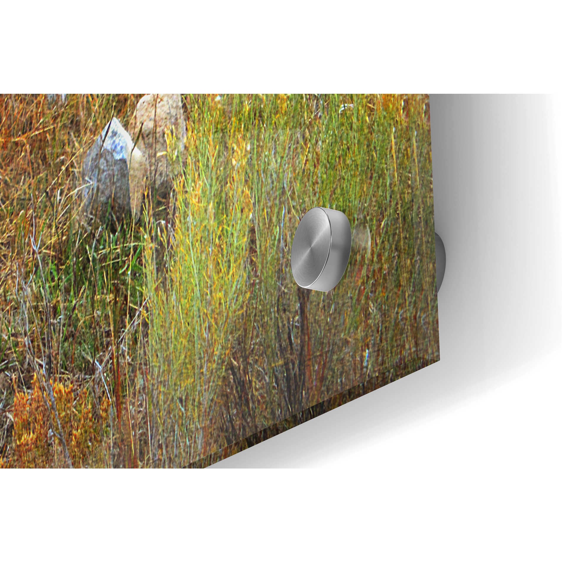 Epic Art 'Cairn Above Elk Refuge' by Chris Vest, Acrylic Glass Wall Art,36x24